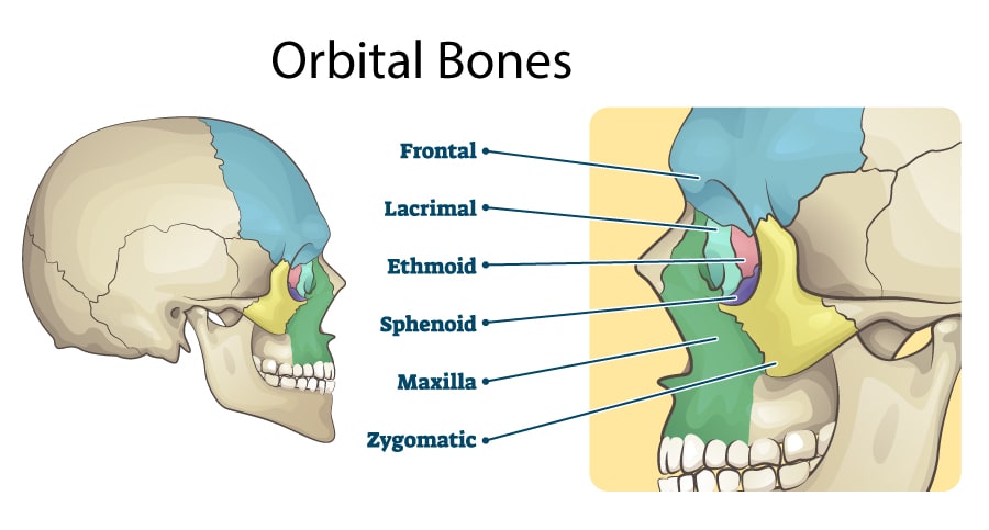 Orbital Fractures